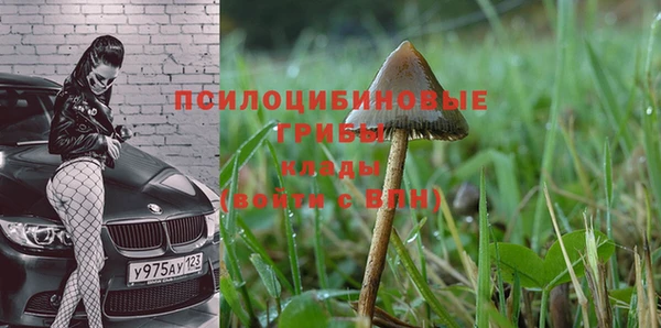 амф Остров