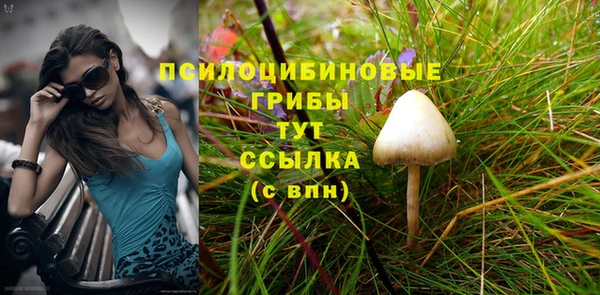 дурь Осинники