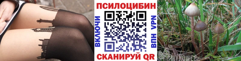Псилоцибиновые грибы GOLDEN TEACHER  Южа 
